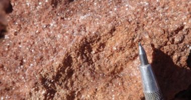 Mica dominant greisen from the Wilsons Prospect outcrops (pen for scale).
